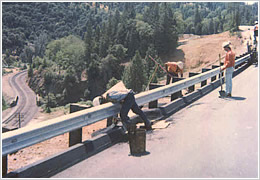 Guardrail Requirements